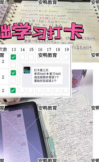 每日打卡